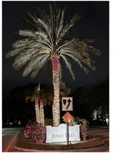 Waterproof Christmas Lights